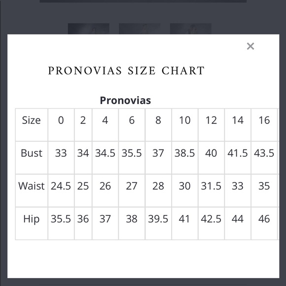 Pronovias Emelina Illusion Sleeve Wedding Gown - Picture 8 of 8